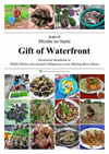 Gift of Waterfront