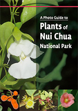 Plants of Nui Chua National Park